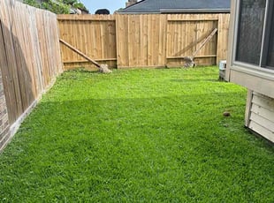 Scarlett G.'s turf care service result