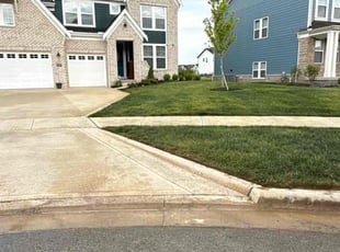 Kanan T.'s grass maintenance service result