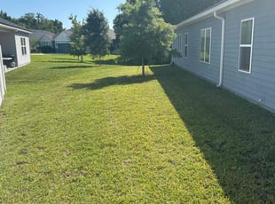 Michael K.'s turf maintenance service result