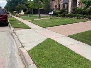 Amitabh G.'s turf maintenance service result