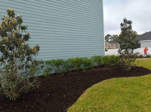 Kelly B.'s Landscaping service result