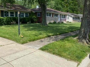 Sharay H.'s lawn maintenance service result