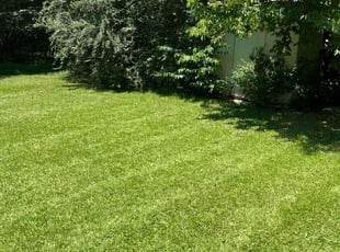 Tammy W.'s residential landscaping service result