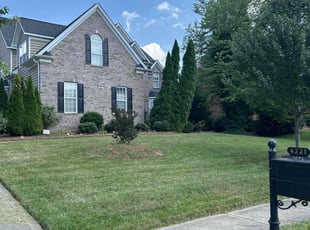 Hollis D.'s grass maintenance service result