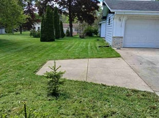 Reva J.'s yard care service result