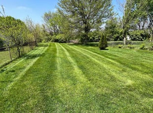 Zach S.'s lawn service service result