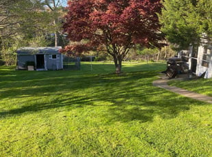 Yasin M.'s grass cutting service result