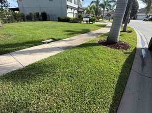 Crystal F.'s grass cutting service result