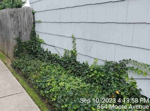 Shawn G.'s Flower Bed Weeding service result