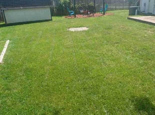 Caryn W.'s lawn service service result