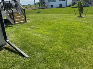 Jill P.'s grass maintenance service result