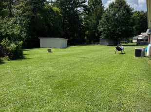 Cameron A.'s turf care service result