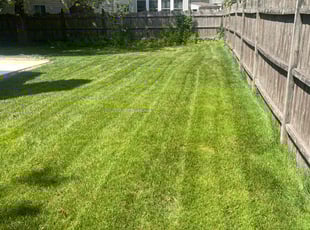 Donna M.'s lawn care services service result