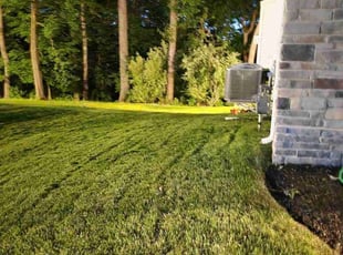 Abbie B.'s lawn care services service result