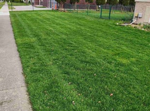 Herbert K.'s grass maintenance service result