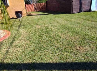 Morgan C.'s lawn care services service result