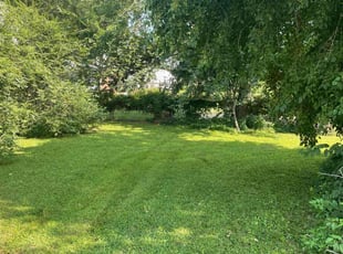Anel F.'s landscaping service result