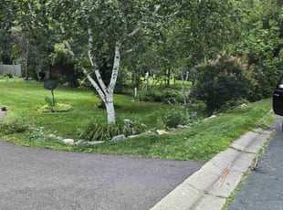 Glenn H.'s lawn maintenance service result