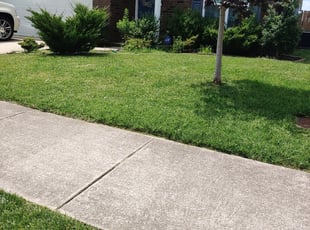 John W.'s lawn service service result