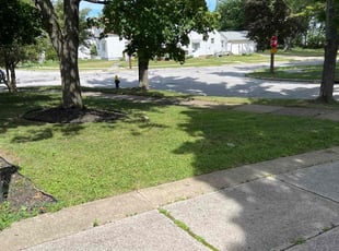 Carol L.'s Leaf Removal service result