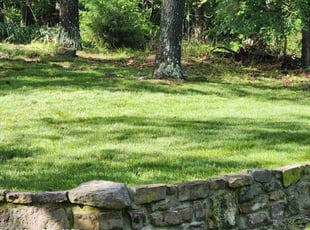 Mona B.'s lawn care services service result