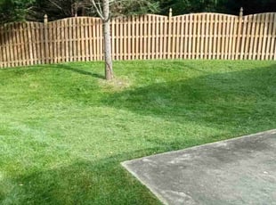 Robert O.'s lawn maintenance service result