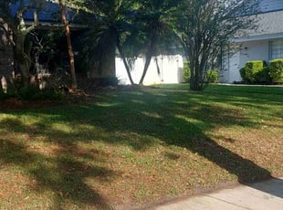 Aaron W.'s lawn service service result