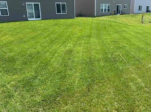 Mmesoma A.'s turf maintenance service result