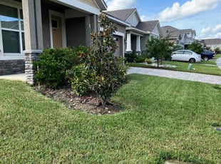 Jerrold D.'s grass maintenance service result
