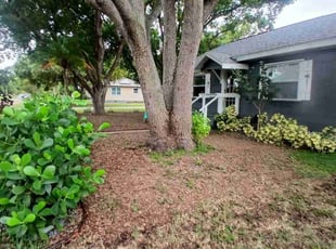 Shirley P.'s grass cutting service result