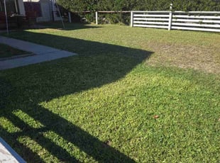 Darryl J.'s lawn maintenance service result
