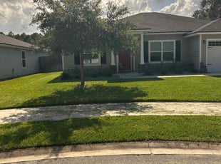 Carlos C.'s lawn care service result