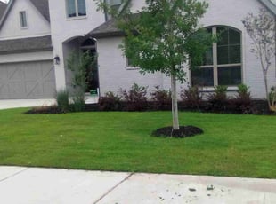 Joey G.'s turf maintenance service result