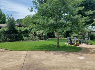 Anita C.'s lawn care services service result