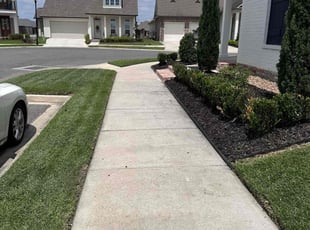 Amy M.'s grass maintenance service result