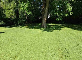 Barry R.'s lawn maintenance service result