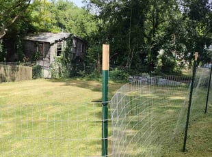 Simone W.'s turf maintenance service result