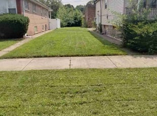 Aaron M.'s turf care service result