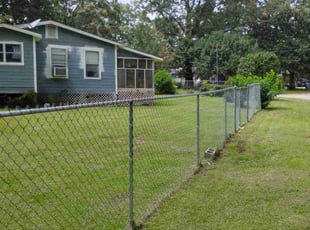 Tina P.'s lawn service service result