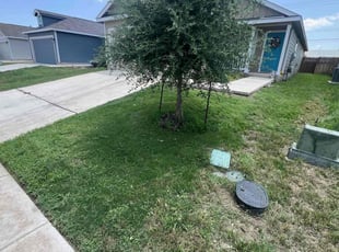 Kimberly S.'s Bush Trimming service result