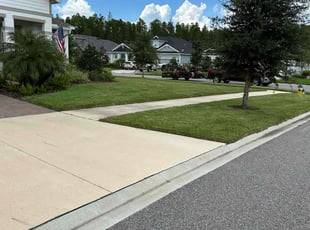Mark C.'s lawn service service result