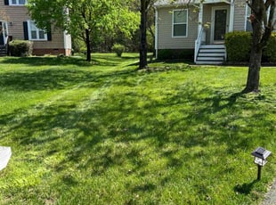 Charles R.'s grass maintenance service result
