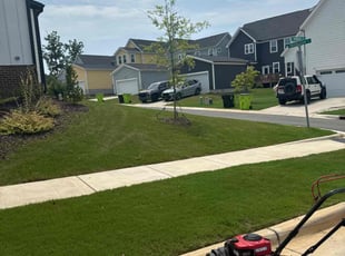 Michelle R.'s grass cutting service result