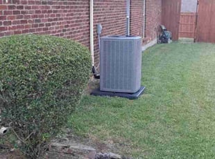 Brendan G.'s Bush Trimming service result