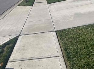 Patricia W.'s lawn maintenance service result