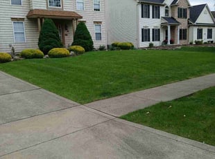 Aaron C.'s turf care service result