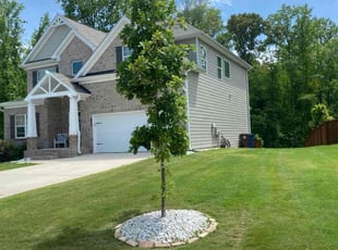 Brenda S.'s turf maintenance service result