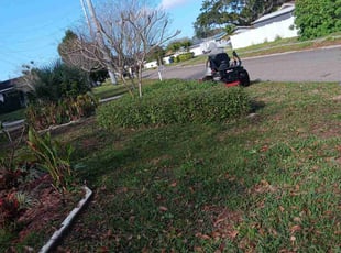 Denise R.'s Bush Trimming service result