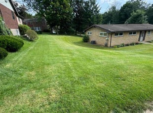 Jim M.'s lawn care service result