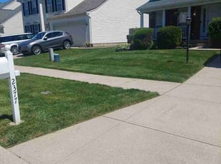 John D.'s turf maintenance service result